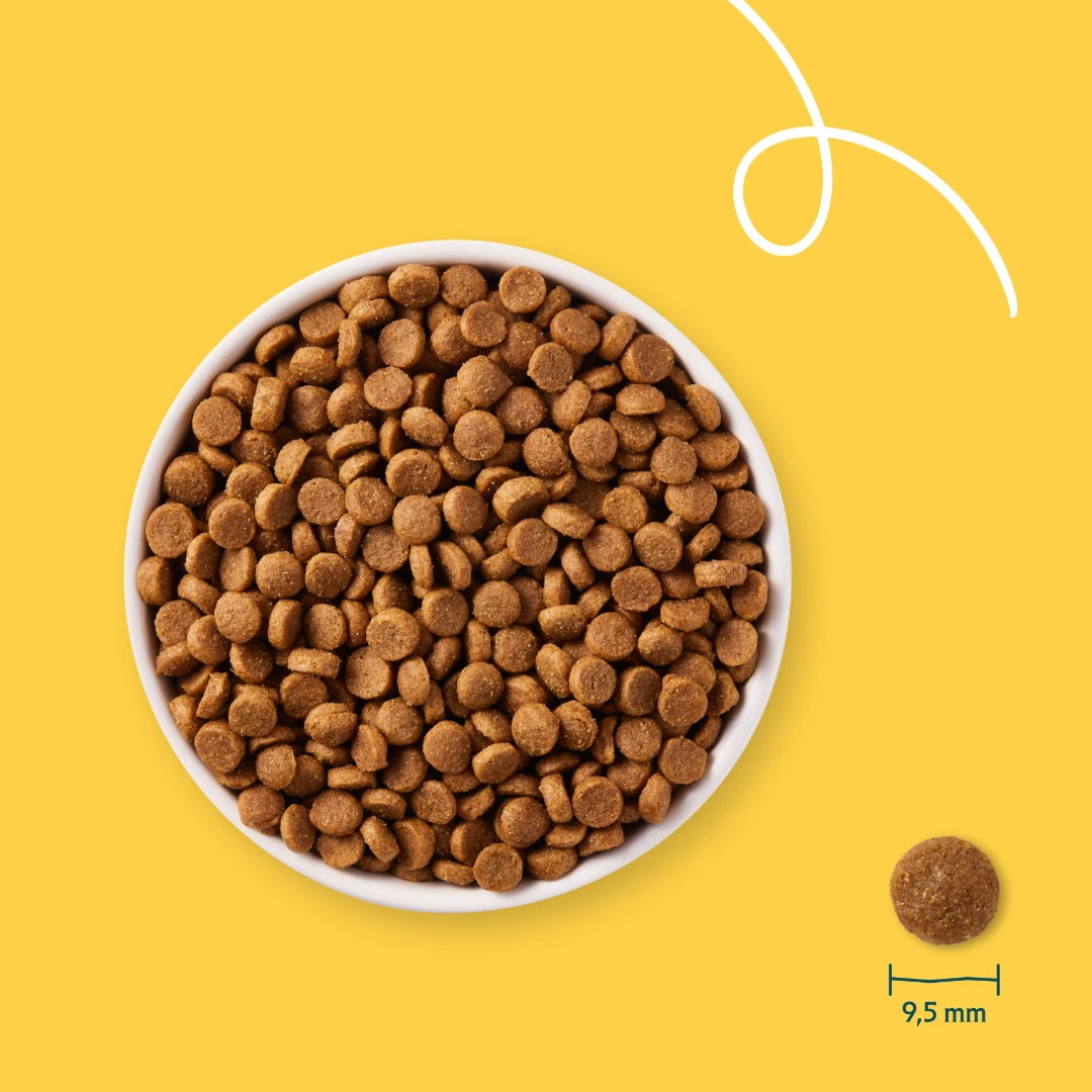 Yarrah Bio Puppy Hundefutter 2 Yarrah Bio Puppy Hundefutter – Bild 2