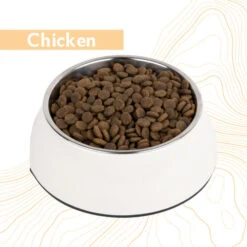 Antelope Fresh Adult Hundefutter -Medpets Geschaft 1uQIuCQf66pdDmnzO55IvCvET7VCgO metaYW50ZWxvcGVfZnJlc2hfYWR1bHRfaG9uZGVudm9lcl9jaGlja2VuLmpwZw