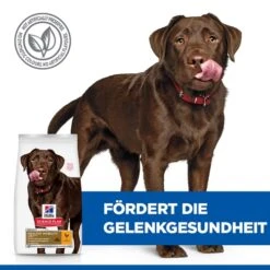 Hill's Science Plan Healthy Mobility Large Hundefutter 12 Hill's Science Plan Healthy Mobility Large Hundefutter -Medpets Geschaft 2bkDFOVFsV1USWTMnjIS5I2nGvNVXe metaNTI3NDIwMjYwMTVfMl9ERV81MDAuSlBH