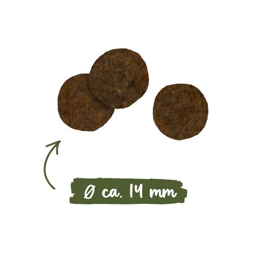 Sanabelle Grande 2 Sanabelle Grande – Bild 2