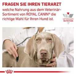 Royal Canin Anallergenic Hundefutter -Medpets Geschaft 4mhdpTxsgIDlHaqHftt4DIHNvUKt9M metaUkNfVmV0X0FuYWxsZXJnZW5pY182X0RFLmpwZw