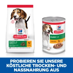 Hill's Science Plan Puppy Healthy Development Medium Hundefutter -Medpets Geschaft 4mm2qRuWpXLUkmyf4J3LxfytTAxOZJ metaMDUyNzQyOTI2MzA4XzYuanBn