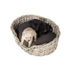 51 Degrees North Rattan Basket -Medpets Geschaft 51 degrees north rattan basket 209954 1000 none