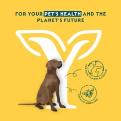 Yarrah Bio Sensitive Hundefutter 7 Yarrah Bio Sensitive Hundefutter -Medpets Geschaft 5xWg9BCdd3F4T9z0rRs2PhjqlMZLKv metaMTcwNjgtfjEuUE5H