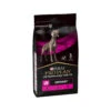 Purina Pro Plan Veterinary Diets UR Urinary - Hund