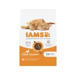 IAMS Adult Katzenfutter 5 IAMS Adult Katzenfutter -Medpets Geschaft 9OPwua1IYiU6fbTcpCFNjNWXZizD49 metaSUFNUy1mb3ItVml0YWxpdHktQWR1bHQtQ2F0LUNoaWNrZW4tLS04NzEwMjU1MTI1OTU0LmpwZw