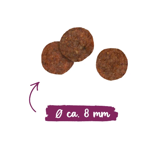 Sanabelle Senior 2 Sanabelle Senior – Bild 2