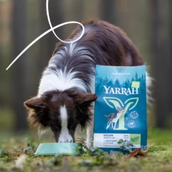 Yarrah Vega Bio Weizenfrei Hundefutter -Medpets Geschaft CraVEtkqXE4hMcewu4nLjv6OC8mWQx metaMTcxNjAgLSBEb2cgRHJ5IEZvb2QgVmVnYW4gV2hlYXQtRnJlZSAya2cgLSA4NzE0MjY1MDAwNDIzIC0gNi5wbmc