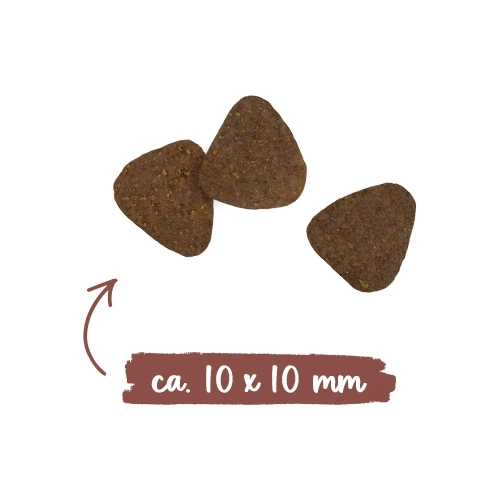 Sanabelle Indoor 2 Sanabelle Indoor – Bild 2