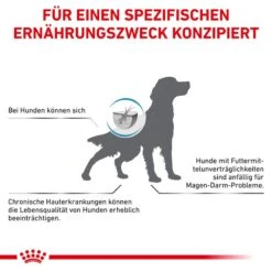 Royal Canin Anallergenic Hundefutter -Medpets Geschaft EzfC0qMfSnE56vEQQINdtB286UfYOZ metaUkNfVmV0X0FuYWxsZXJnZW5pY183X0RFLmpwZw