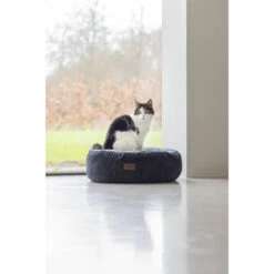 Designed By Lotte Ribbed Katzenkorb -Medpets Geschaft G3eBzs7hkBLR3vMJcOknSeD8TerWvx metaRGVzaWduZWQtQnktTG90dGUtUmliYmVkLUxpZ2JlZC1BbnRyYWNpZXQtMi5qcGc