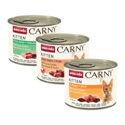 Animonda Carny Kittenfutter - Dosen 7 Animonda Carny Kittenfutter - Dosen -Medpets Geschaft Hv2Dnjln4OBPEBrp1Lk0mBGA5tRg6t metaQW5pbW9uZGEtQ2FybnktS2l0dGVuLU92ZXJ6aWNodC5qcGc