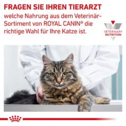 Royal Canin Anallergenic Katzenfutter -Medpets Geschaft KIjQlOG6HhSJRyGxdsbCuK63VHr9QT metaUkNfVmV0X0FuYWxsZXJnZW5pY19GZWxpbmVfN19ERS5qcGc