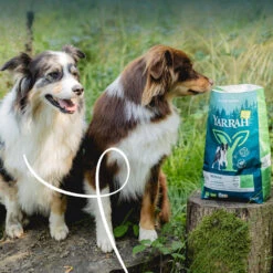 Yarrah Vega Bio Hundefutter -Medpets Geschaft LBiSAOgjUXdyuiA2etZudZKpxcasiD metaWWFycmFoLUJpb2xvZ2lzY2gtVmVnYS1Ib25kZW52b2VyMy5qcGc