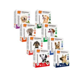 Biofood Schaffett 33 Biofood Schaffett -Medpets Geschaft M2C3Nsv04uJkSyIQMe3S2xflDsYva9 metaQmlvZm9vZC1zY2hhcGVudmV0LWJvbmJvbnMtb3ZlcnppY2h0LmpwZw