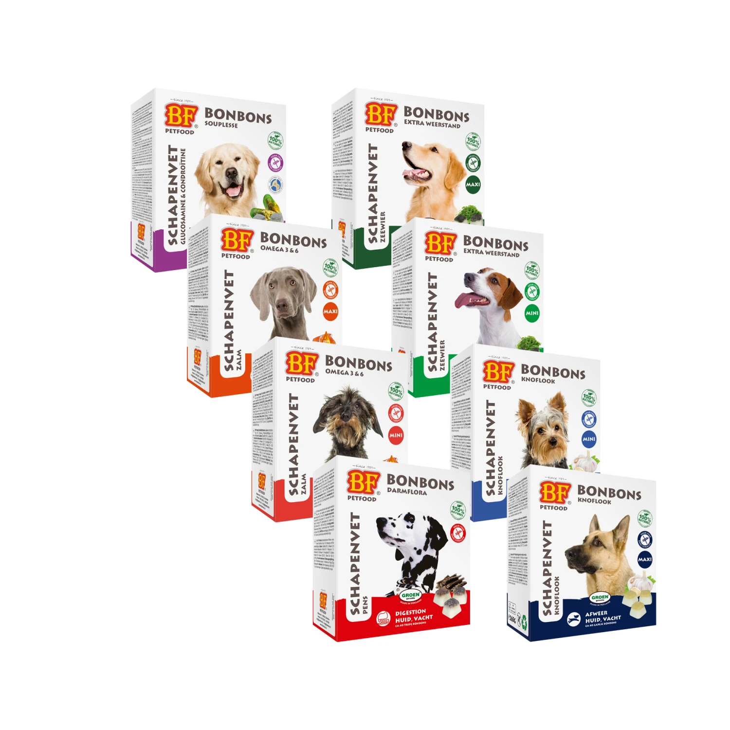 Biofood Schaffett 14 Biofood Schaffett – Bild 14