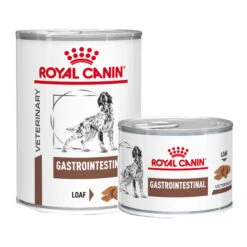 Royal Canin Gastro Intestinal Hundefutter - Dosen -Medpets Geschaft PU57xnhunLbeXzABIn2ccGyytfIWBk metaRE9HLS0tR0FTVFJPSU5URVNUSU5BTC0tLVdFVF80MTBfLTMwNjU4OTAxNTIwNzZfTkxfMS1vdmVyemljaHIuanBn