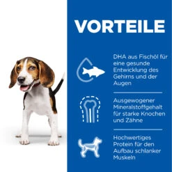 Hill's Science Plan Puppy Healthy Development Medium Hundefutter -Medpets Geschaft Py0NnuzqF2KRWE5sGkkEd5atZdVNAZ metaMDUyNzQyOTI2MzA4XzQuanBn