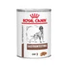 Royal Canin Gastro Intestinal Hundefutter - Dosen
