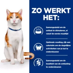 Hill's ON-Care Ragout - Prescription Diet - Katzen -Medpets Geschaft TbhZHGu35erVnwfsRGEDRp5DwU0aLq metaSGlsbCdzLU9OLUNhcmUtLS1QcmVzY3JpcHRpb24tRGlldC0tLUZlbGluZTMuanBn