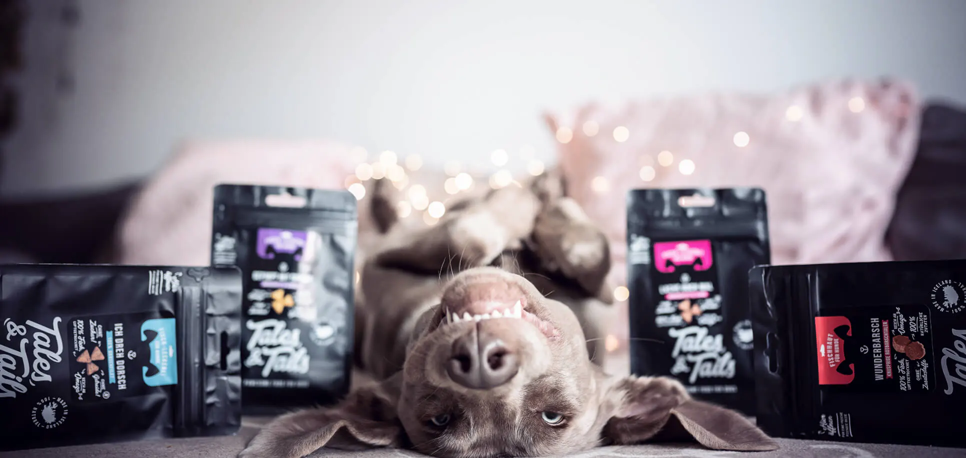 Medpets Geschaft -Medpets Geschaft Titelbilde TalesTails 03