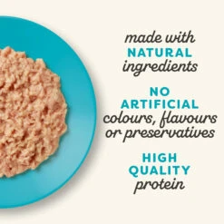 Applaws Kittenfutter - Dosen -Medpets Geschaft WgjWKO4YgZOrpBZJWvTT9OxnR4vhAd metaQXBwbGF3cy1LYXQtLS1LaXR0ZW4tdHVuYS1maWxsZXQtaW4tamVsbHktLS1CbGlrLTIuanBn