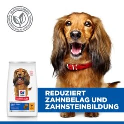 Hill's Science Plan Adult Oral Care Medium Hundefutter -Medpets Geschaft Wr4854iDIC48j6A7rTjjHk1ss50NmL metaNTI3NDIwMjUxODZfMl9ERV81MDAuSlBH