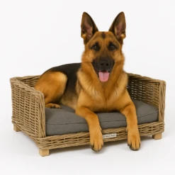 51 Degrees North Rattan Bed -Medpets Geschaft YLXrEq6msfT4Q0HOHxYqLXxh5oYy1D metaRHVpdHNlIGhlcmRlci1SYXR0YW4gQmVkLnBuZw