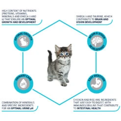 Affinity Advance Kitten Huhn Und Reis 9 Affinity Advance Kitten Huhn Und Reis -Medpets Geschaft affinity advance kitten kip en rijst kat 178231 1500 none