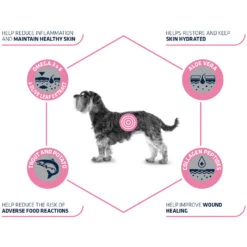 Affinity Advance Veterinary Diets Atopic Mini Hund -Medpets Geschaft affinity advance veterinary diets atopic mini hond 177538 1500 none