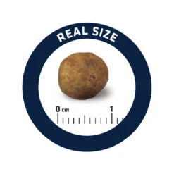 Affinity Advance Veterinary Diets Gastroenteric Hund -Medpets Geschaft affinity advance veterinary diets gastroenteric hond 177679 0500 none