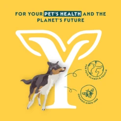 Yarrah Vega Bio Weizenfrei Hundefutter -Medpets Geschaft bIsRFeCxfK8SbowYVdJBMUzfHRKRS6 metaMTcxNjAgLSBEb2cgRHJ5IEZvb2QgVmVnYW4gV2hlYXQtRnJlZSAya2cgLSA4NzE0MjY1MDAwNDIzIC0gOS5wbmc