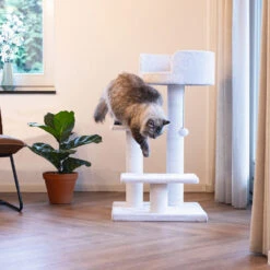 Beeztees Kratzmöbel Serpa Figo -Medpets Geschaft beeztees krabmeubel serpa figo 225773 1000 none