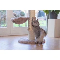 Beeztees Kratzbaum Ramiro 18 Beeztees Kratzbaum Ramiro -Medpets Geschaft beeztees krabpaal ramiro 227004 1000 none