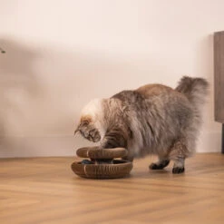 Beeztees Kratzspielzeug Loet -Medpets Geschaft beeztees krabspeelgoed loet 226273 2000 none