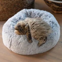 Beeztees Orthopädischer Katzenkorb Siba -Medpets Geschaft beeztees orthopedische kattenmand siba 226844 1000 none