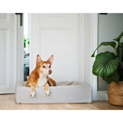 Bia Skanor Bezug -Medpets Geschaft bia skanor hoes 224419 1000 none