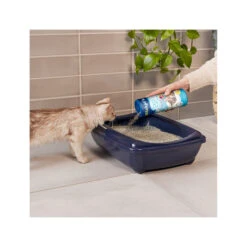 Biokat's Deo Pearls 12 Biokat's Deo Pearls -Medpets Geschaft biokats deo pearls 157307 2000 none