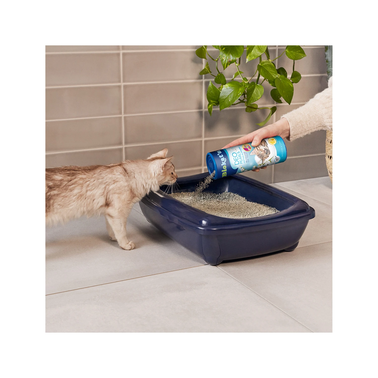 Biokat's Deo Pearls 5 Biokat's Deo Pearls – Bild 5