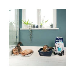 Biokat's Diamond Care MultiCat 6 Biokat's Diamond Care MultiCat -Medpets Geschaft biokats diamond care multicat 157292 2000 none