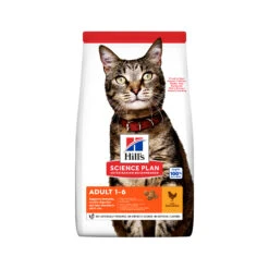Hill's Science Plan Adult Katzenfutter - Chicken/Poultry 17 Hill's Science Plan Adult Katzenfutter - Chicken/Poultry -Medpets Geschaft d2yBL2yuczSYKL5BnLiHohJNT0ZEpW metaMDUyNzQyMDIyODQwXzIuanBn