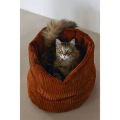 Designed By Lotte Gerippter Katzenkorb -Medpets Geschaft dTqPsuM8pULEQewJlcXsApNacipGU3 metaRGVzaWduZWQtQnktTG90dGUtUmliYmVkLVRlcnJhY290YS0zLmpwZw