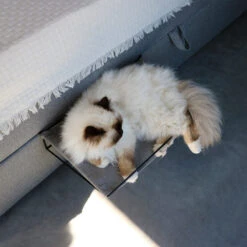 D&D Oliver Bett Und Heizkörper-Hängematte -Medpets Geschaft dd oliver bed en radiatorhangmat 225329 1000 none