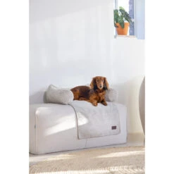 Designed By Lotte Bankkissen Ribbed 10 Designed By Lotte Bankkissen Ribbed -Medpets Geschaft designed by lotte bankkussen ribbed 222738 2000 none