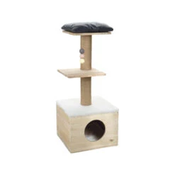 Designed By Lotte Katzenmöbel Kamina