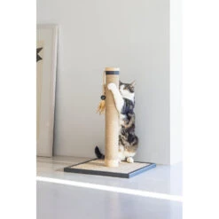 Designed By Lotte Kratzbaum Vyda -Medpets Geschaft designed by lotte krabpaal vyda 222825 1000 none