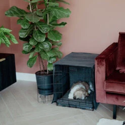 District 70 Crate Cover -Medpets Geschaft district 70 crate cover 191152 0500 none