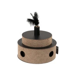 District 70 Fiesta -Medpets Geschaft district 70 fiesta 191015 0500 none