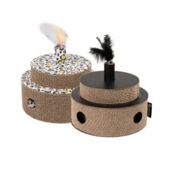 District 70 Fiesta -Medpets Geschaft district 70 fiesta 191158 0500 none