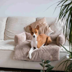 District 70 Nuzzle Schlafsofa -Medpets Geschaft district 70 nuzzle sofa bed 225006 2000 none